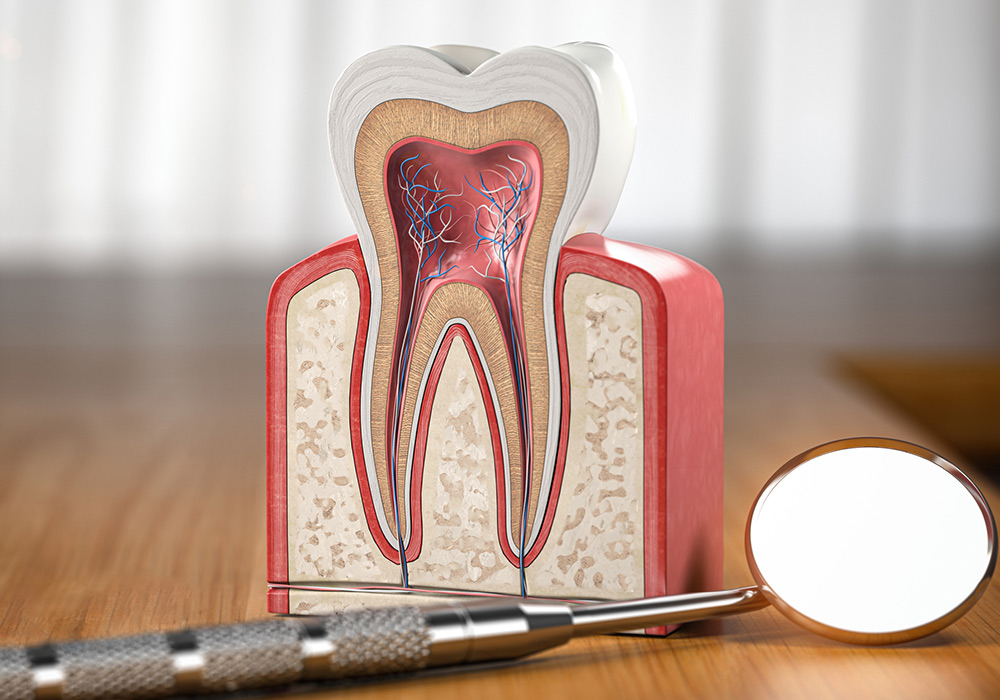 根管とは何か？